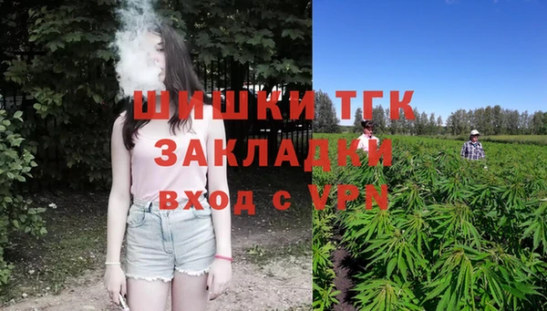 ECSTASY Михайлов