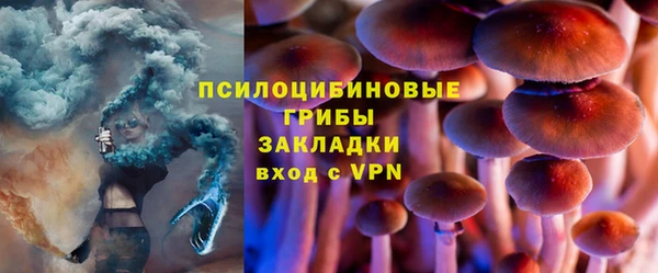 2c-b Михайловск
