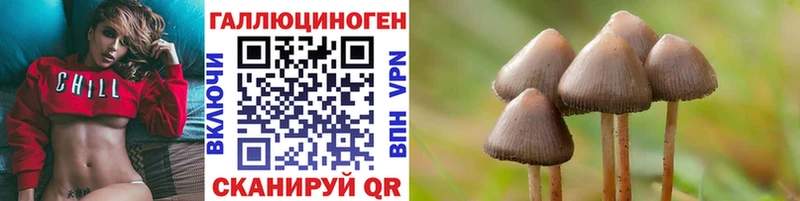 цена наркотик  Усть-Катав  Галлюциногенные грибы Psilocybine cubensis 